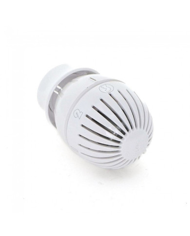 Tête thermostatique - bulbe à soufflet - R470


    
    GIACOMINI