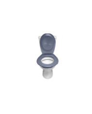Lunette et abattant WC clipsable - Gris


    
    PAPADO