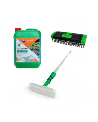 Lot nettoyage de toiture - brosse métal + manche 6m + Dalep 2100 5L


    
    DALEP