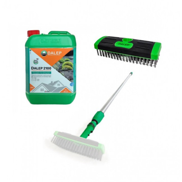 Lot nettoyage de toiture - brosse métal + manche 6m + Dalep 2100 5L


    
    DALEP
