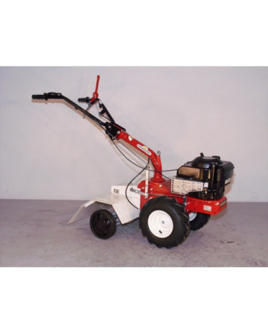 Emousseur - moteur Honda GCV170 - P55 EUROSYSTEMS