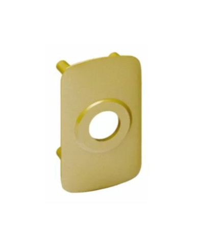 Contre-plaque de renfort - pour verrou à cylindre Cyclop - 704 V VACHETTE