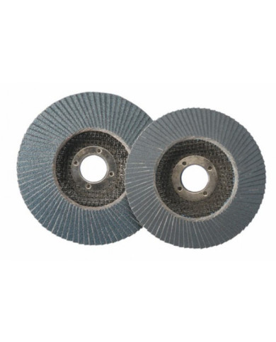 Disque à lamelles bombés 125 mm 566 A 3M