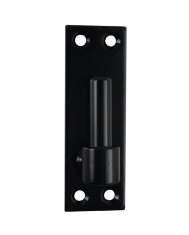 Gonds sur platine 4 trous de fixation - acier phorétique noir - ø 20 mm TORBEL
