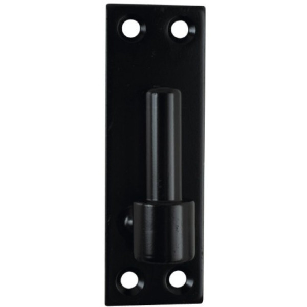 Gonds sur platine 4 trous de fixation - acier phorétique noir - ø 20 mm TORBEL