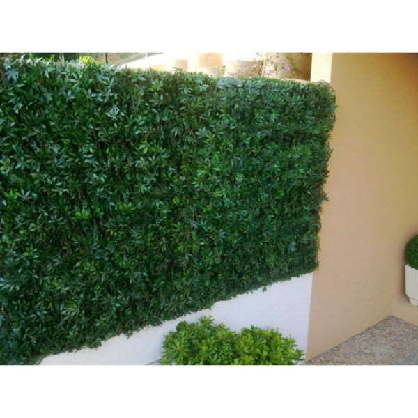 Treillis feuilles de vigne vierge 1mx2m JET7GARDEN