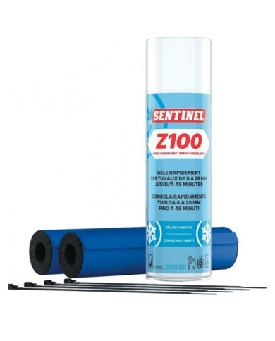 Spray aérosol congelant - Z100 SENTINEL