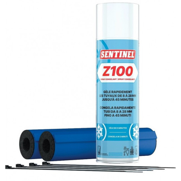 Spray aérosol congelant - Z100 SENTINEL