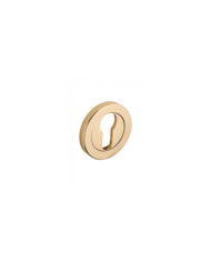 Rosaces pour poignées de porte - laiton poli - design DCG DCG