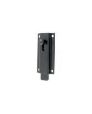 Targette plate en aluminium - portail et portillon BURGAUD