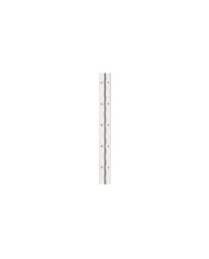 Charnière à piano simple feuille en acier laitonné - diamètre 1,8 mm BRICOZOR