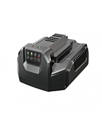 Chargeur standard - CH2100E EGO