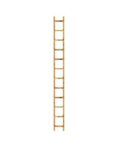 Echelle de toit - bois - entraxe 39cm OUTIFRANCE