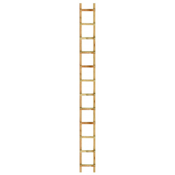 Echelle de toit - bois - entraxe 39cm OUTIFRANCE
