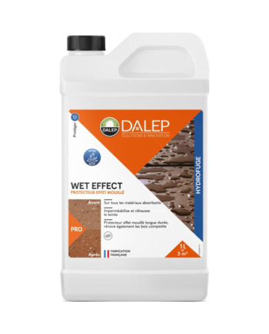 Hydrofuge protecteur – aspect effet mouillé – Wet Effect DALEP