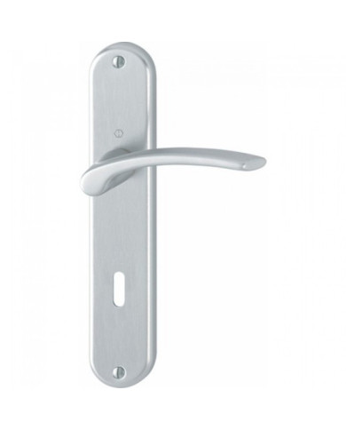 Poignées de porte sur grande plaque - aluminium anodisé - Ibiza HOPPE