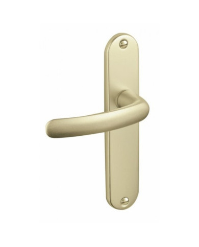 Poignées de porte sur plaques - aluminium champagne - Budget VACHETTE