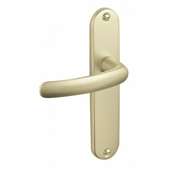 Poignées de porte sur plaques - aluminium champagne - Budget VACHETTE