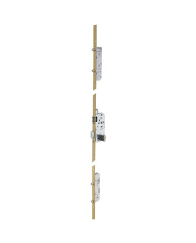 Serrure à larder 5 points encastrable TRILOCK 5900 SPN1 A2P* VACHETTE