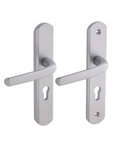 Poignées de porte de sécurité - renforcée - argent - Sécumax One VACHETTE