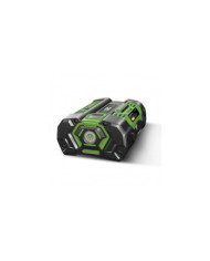 Batterie EGO Power+ - 56 volts - 2 à 10 Ah EGO