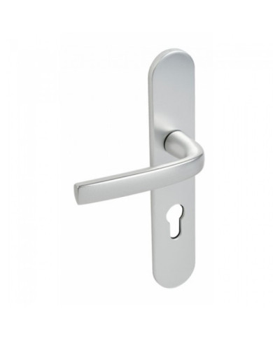 Poignées de porte sur plaques - entraxe 195 mm - alu argent - Logio VACHETTE